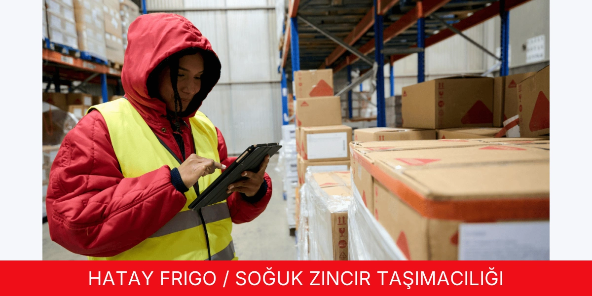 Frigo / Soğuk Zincir Taşımacılığı
