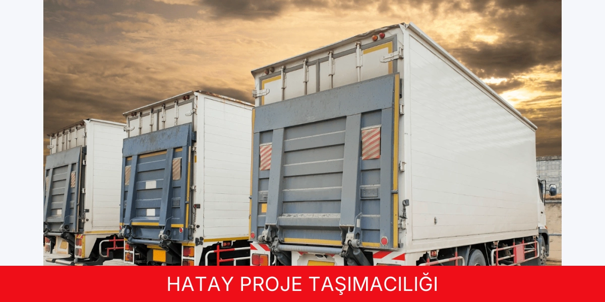 Proje Taşımacılığı