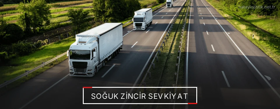 Hatay Frigo Taşımacılık Firmaları