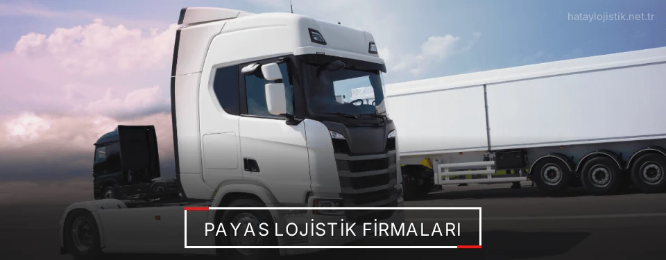 Payas Lojistik Taşımacılık Payas Lojistik Taşımacılık